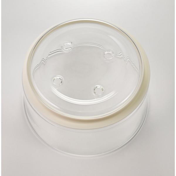 ハリオ HARIO 「ガラスのある生活」 ガラスのせいろ蒸し器 クリア GSM-2-OW