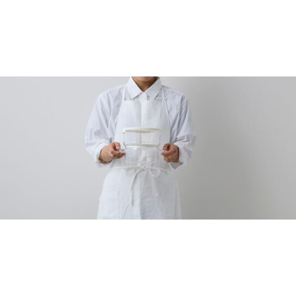 ハリオ HARIO 「ガラスのある生活」 ガラスのせいろ蒸し器 クリア GSM-2-OW