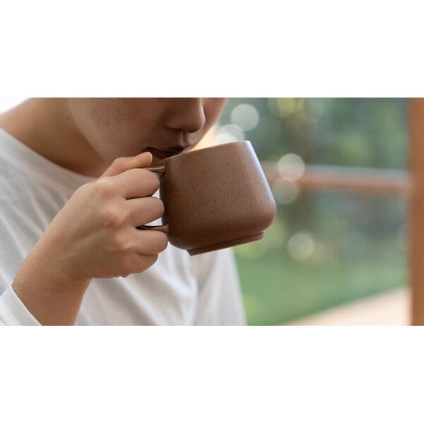 ハリオ HARIO Note MUG キャラメル NMG-360-CM