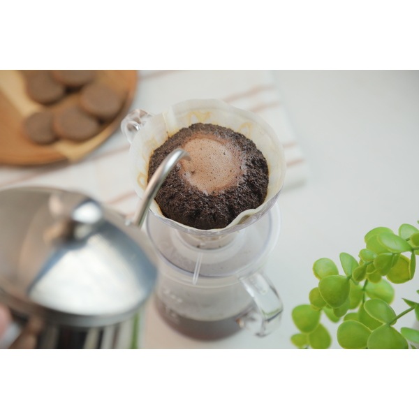 お取り寄せ】【ロット＝80】三洋産業 カフェック CAFEC アバカ 円すい