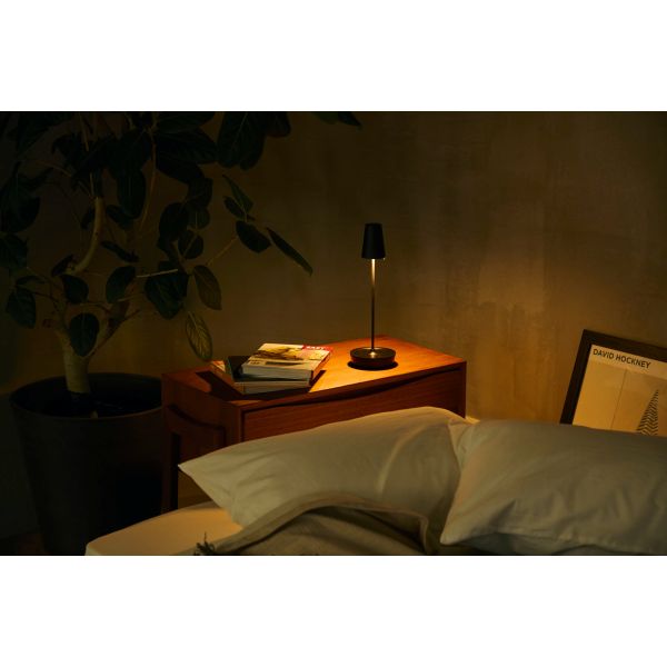 モリモリ MoriMori LED T-Light アルト ブラック FTL-24AT-BK