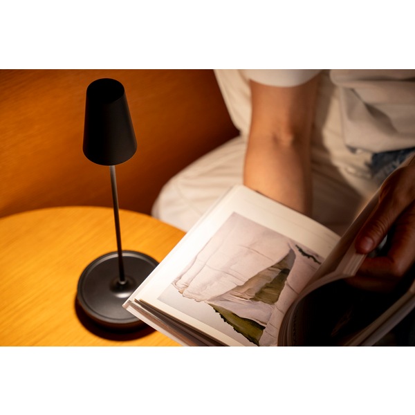 モリモリ MoriMori LED T-Light アルト ブラック FTL-24AT-BK