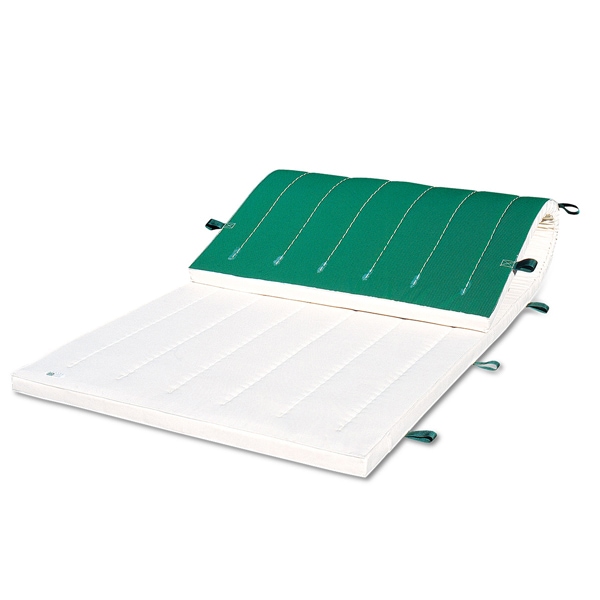 体操マット 学校 マット運動 滑り止め付 消臭 抗菌 体育用マット 8534T 9号 120×240×厚6 日本製 SGマーク付