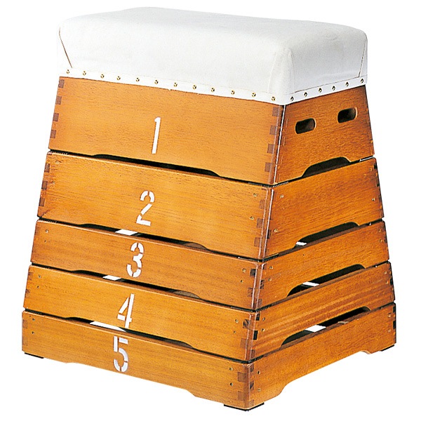 室内 鉄棒、体育体操マット、スケートボードセクション スケボーレール  