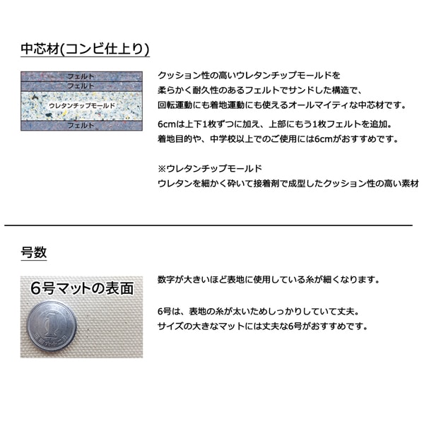 体操マット 学校 マット運動 滑り止め付 消臭 抗菌 体育用マット 8541T 6号 90×180×厚6 日本製 SGマーク付