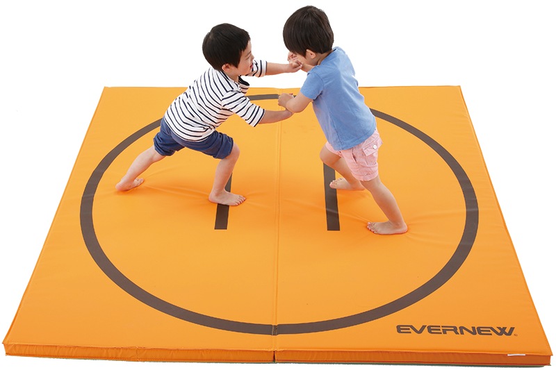 室内 鉄棒、体育体操マット、スケートボードセクション スケボーレール