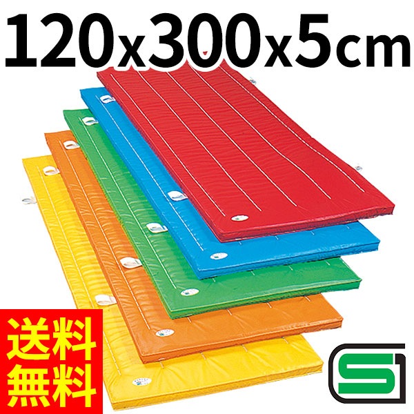 室内 鉄棒、体育体操マット、スケートボードセクション スケボーレール