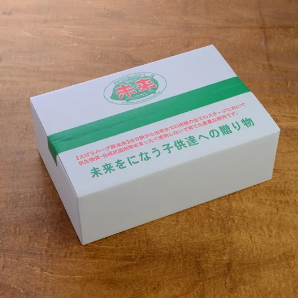 僕らの未来カレー 5パック