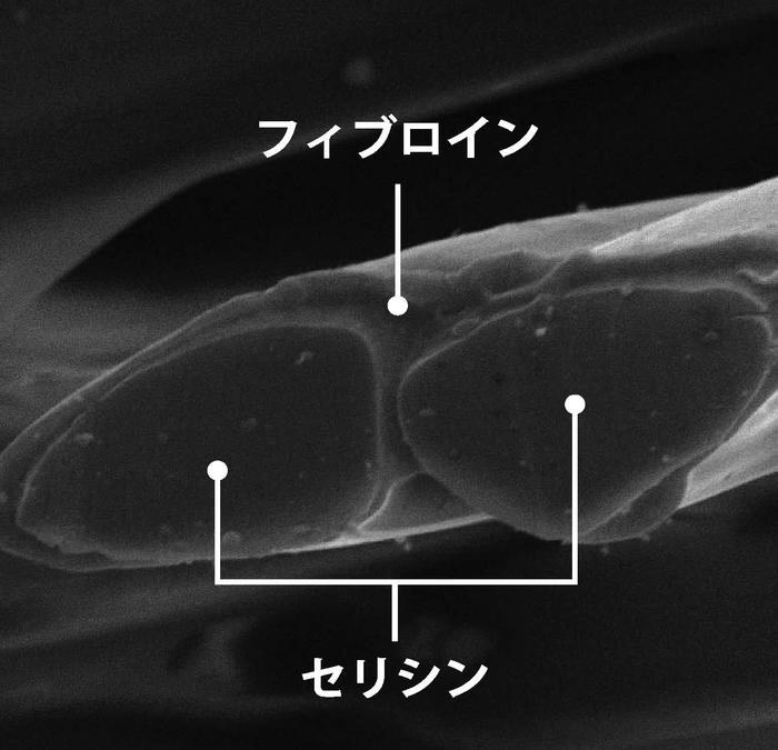 シルキーフォーム for body