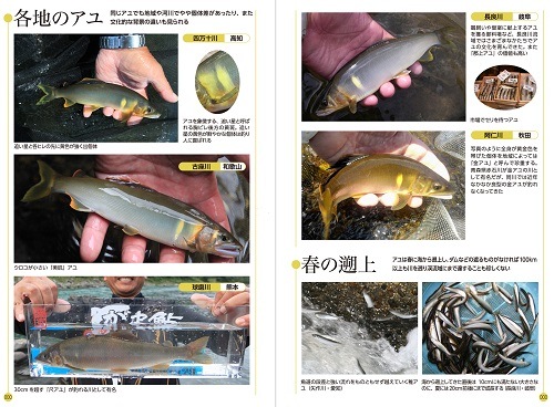 �����Ф�3�����å�!!�ؤ����ʡ���긡���١��غ������ޥ����������Τ��Ф����١��ع�ȴ��ã�͡�