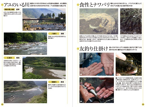 �����Ф�3�����å�!!�ؤ����ʡ���긡���١��غ������ޥ����������Τ��Ф����١��ع�ȴ��ã�͡�