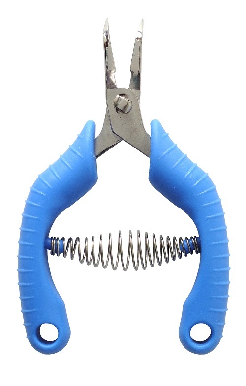 ȴãͭʥͥݥȯʡ