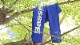 ƻŹBasserBasser५С