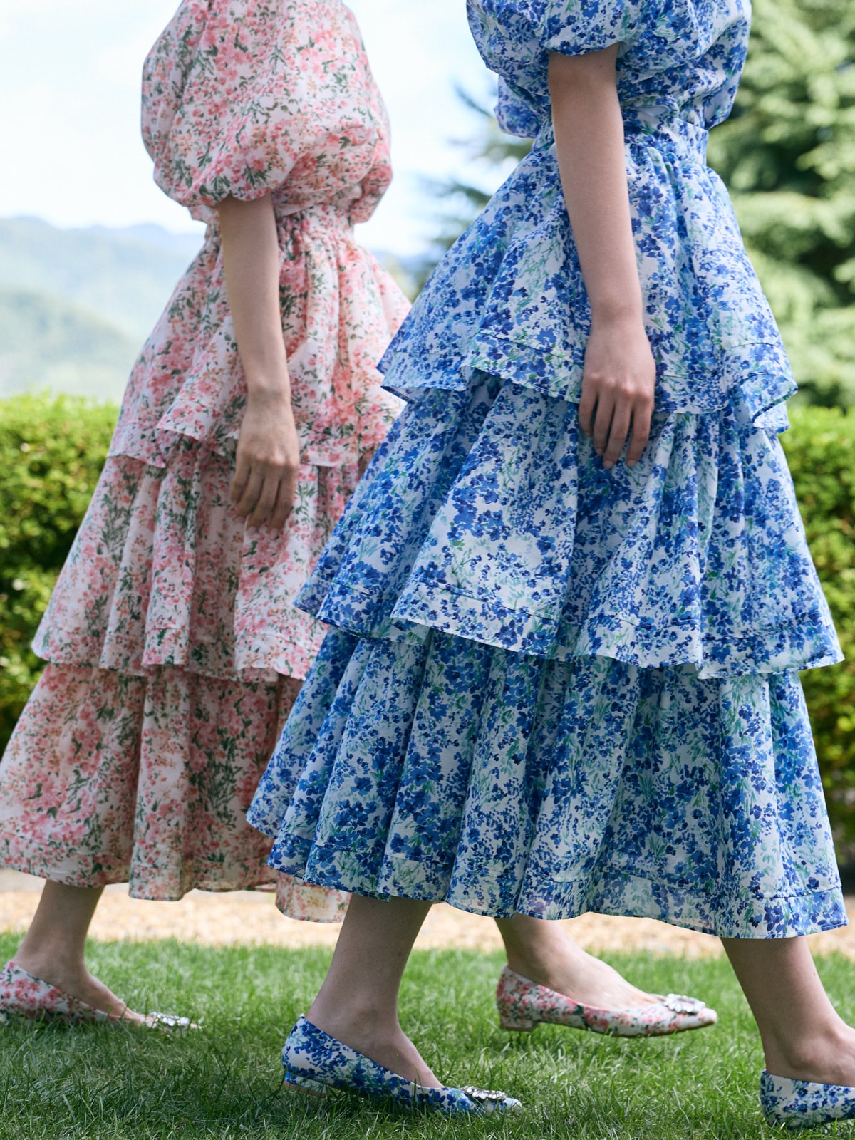 Georgina(flower) | COLLECTION,2026 SPRING COLLECTION | TSURU By