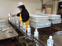 �����Ĺ15ǯ��¸�塡�ԥ��।��å����15ǯ�� 500mL��24��/Ȣ ������̵���ۡ�����Բġ�