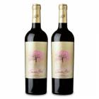 ե ҥ ȥ ᥻ SAKURA  750ml  2 [եǥ]4-10¢ؤǤΤϤա¢̵