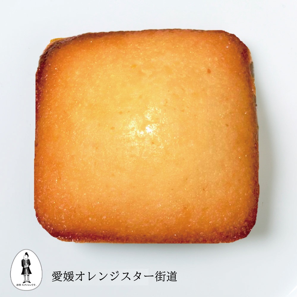 【次回待機中】愛媛オレンジスター街道