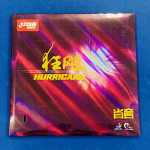 ���д�ʶ�