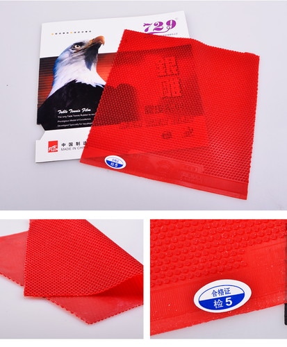 �ե��ɥ��åס�729�ۡ�563(�����С�)