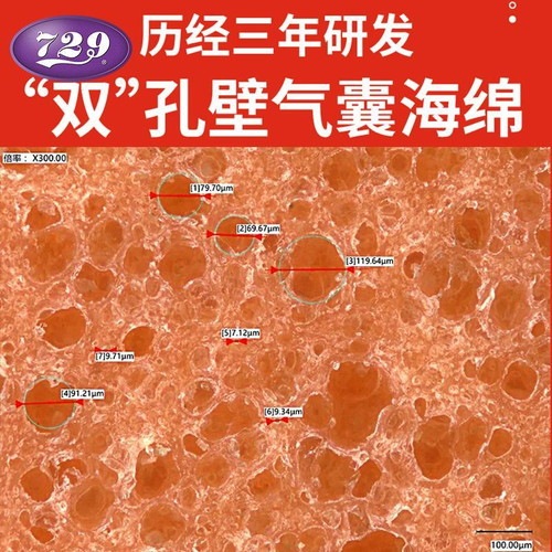 �ե��ɥ��åס�729�ۡ��Хȥ뭷