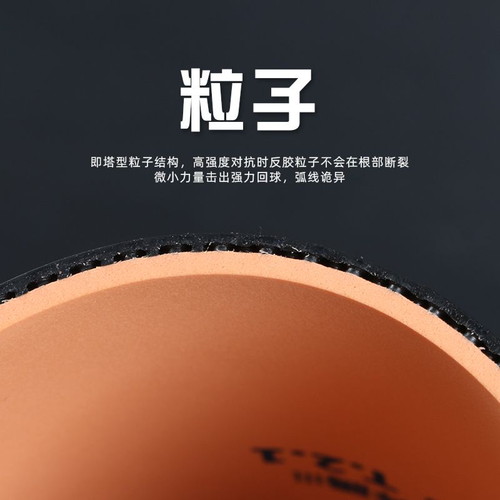 �ե��ɥ��åס�729�ۡ��Хȥ뭷
