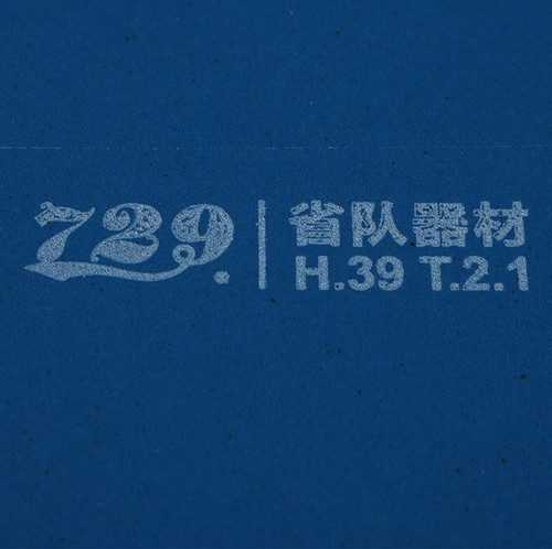 �ե��ɥ��åס�729�ۡ��Хȥ뭶(�֥롼���ݥ�)