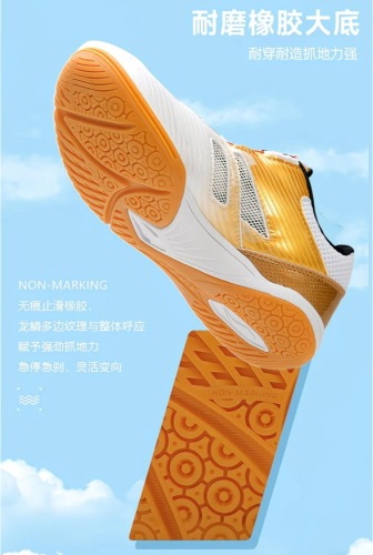 Li-Ning(��˥�)����ζ��ǥ륷�塼���ʥ��å���
