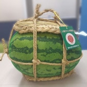 【プレゼント】富山特産 入善ジャンボ西瓜（約15kg～20kg）2025【送料込】