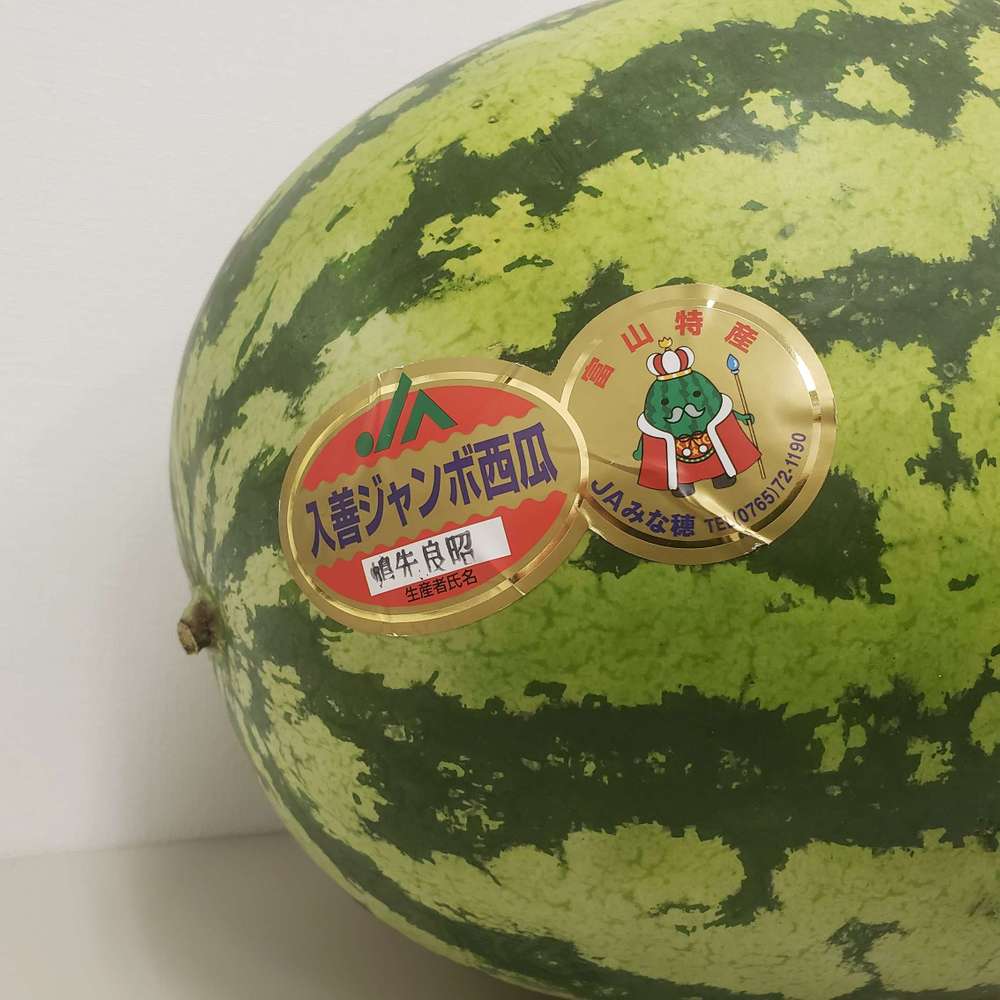 プレゼント】富山特産 入善ジャンボ西瓜（約15kg～20kg）2025【送料込】