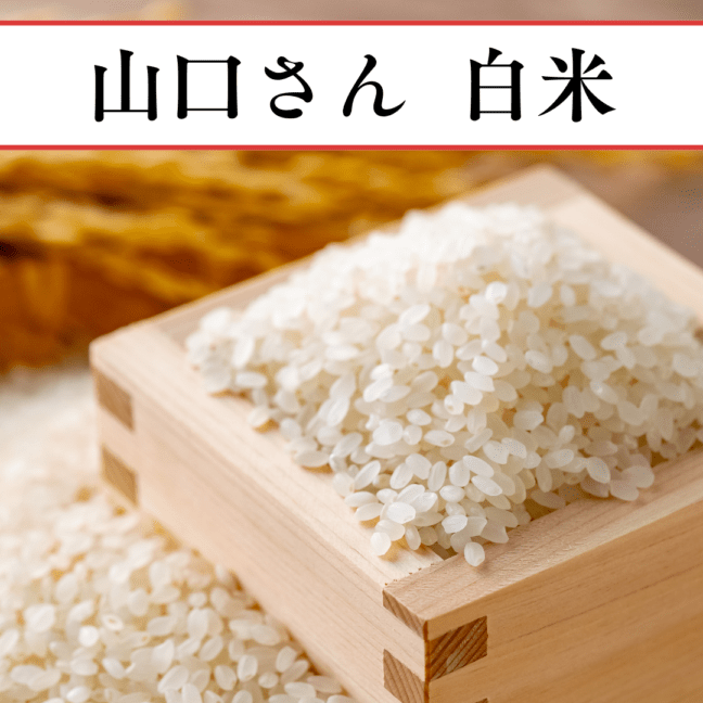 ����(���������ޤ�) 2.5kg����2025ǯ����