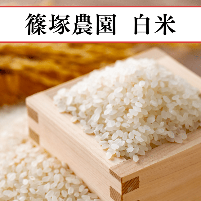 ����(�̤Τ����䤭)2.5kg��2025ǯ����