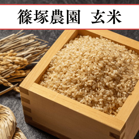 ����(�̤Τ����䤭)2.5kg��2025ǯ����