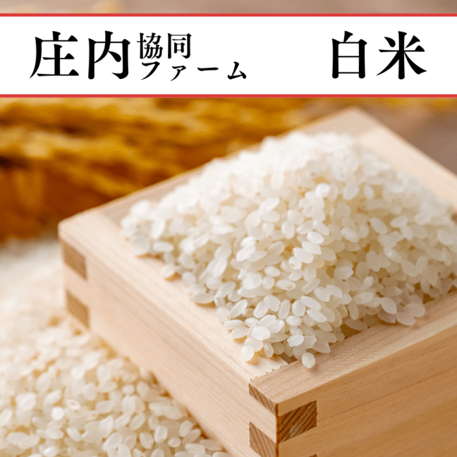 ����(�����ҥ���)��2.5kg����2025ǯ����