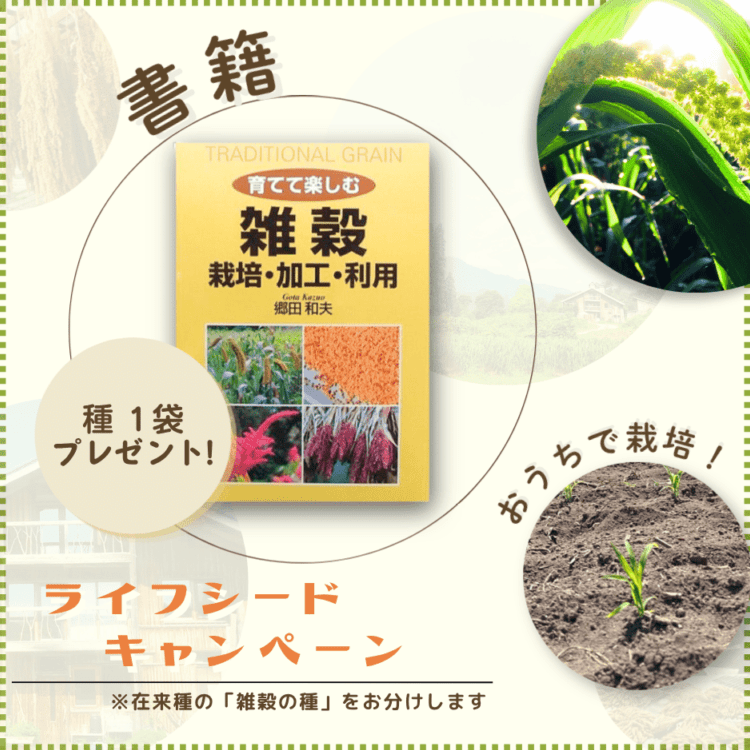 �ڥ饤�ե����ɥ����ڡ���۰�ƤƳڤ��໨�� ���� �ù� ���ѡ�����μ�ץ쥼��ȡ��ڥ�ޥ��̾��ء�