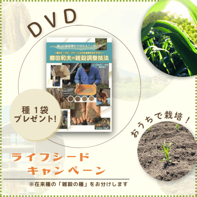 �ڥ饤�ե����ɥ����ڡ����DVD �������פλ���Ĵ����ˡ ������μ�ץ쥼��ȡ��ڥ�ޥ��̾��ء�