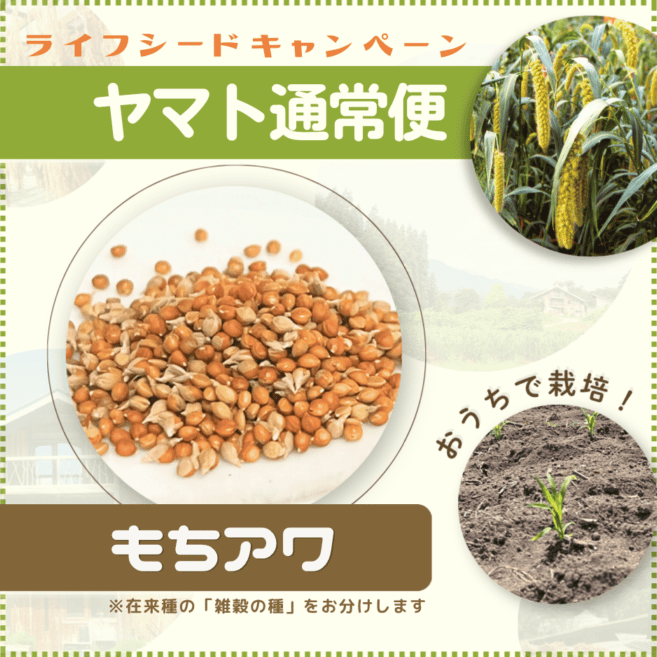 �ڥ饤�ե����ɥ����ڡ���ۻ���μ����������ñ���ݥޥ˥奢���աڥ�ޥ��̾��ء�