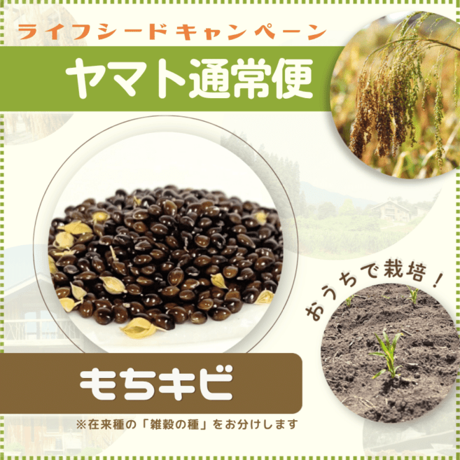 �ڥ饤�ե����ɥ����ڡ���ۻ���μ�������  ����ñ���ݥޥ˥奢���աڥ�ޥ��̾��ء�