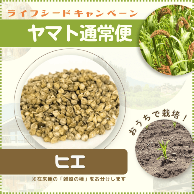 �ڥ饤�ե����ɥ����ڡ���ۻ���μ�ҥ� ����ñ���ݥޥ˥奢���աڥ�ޥ��̾��ء�