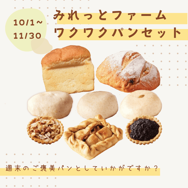 �ڽ������[ľ��]�ߤ�äȥե�����說�說�ѥ󥻥å�(8��)������ڤ����������Բġˡ�����̵���оݳ����ʡ�