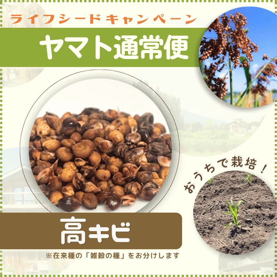 ライフシードキャンペーン】雑穀の種 高キビ ※簡単栽培マニュアル付