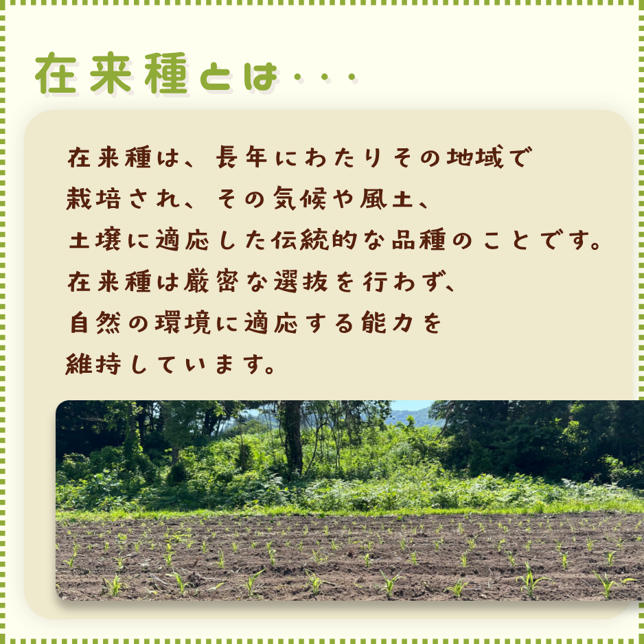 �ڥ饤�ե����ɥ����ڡ����DVD �������פλ���Ĵ����ˡ ������μ�ץ쥼��ȡ��ڥ�ޥ��̾��ء�