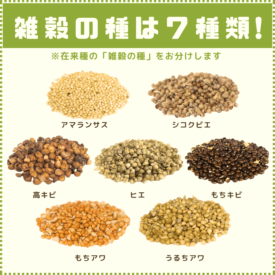 �ڥ饤�ե����ɥ����ڡ����DVD �������פλ���Ĵ����ˡ ������μ�ץ쥼��ȡ��ڥ�ޥ��̾��ء�
