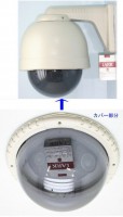 ��SA-48031�� ���ȥ���顦�ƻ륫����� �ϥ����󥰥������ʥ��⡼�����С���°�����ס�