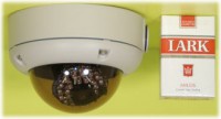 ��SA-48572�۲����������ɱ�����27�����ǥ��顼�ɡ������ȥ����(�˲��ɻߥܥǥ�)