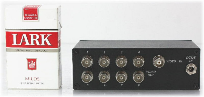 ��SA-49534�� ���ȥ���顦�ƻ륫����� ��������8ʬ�۴� 1����8����
