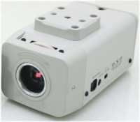 ��SA-50432�� ���ȥ���顦�ƻ륫��� 52�����ǥ��顼 ��50431�β����ѥ�󥱡��֥륫���Τߡ�