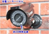 ��SA-50550�� ���ȥ���顦�ƻ륫��� �����顼���ż��Хåƥ꡼��¢ ������ũ����(����ľ��������ʤ�������) ���ߡ������(��)