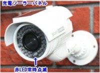 ��SA-50551�� ���ߡ����ȥ���顦�ƻ륫��� �����顼���ż��Хåƥ꡼��¢ �����ɱ����� ���ߡ������(��)