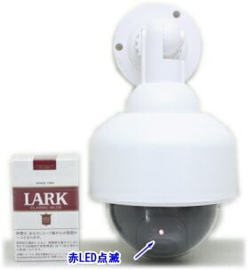 ��SA-50552�� ���ߡ����ȥ���顦�ƻ륫��� ���δ����Ӽ� �������