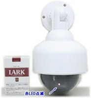 ��SA-50552�� ���ߡ����ȥ���顦�ƻ륫��� ���δ����Ӽ� �������